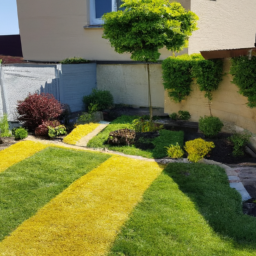 Abattage : enlevez les arbres dangereux ou indésirables de votre jardin en toute sécurité Riom